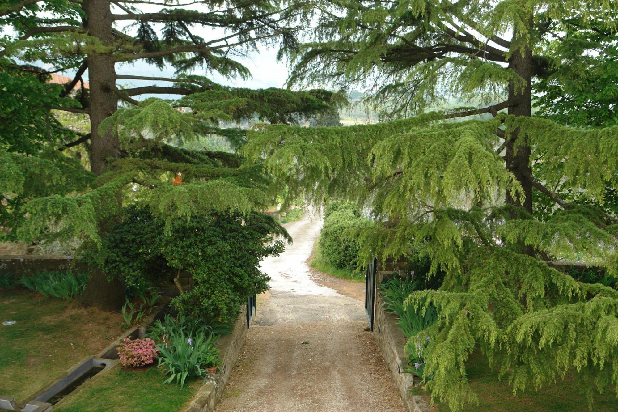 Relais Villa Belpoggio - Residenza D'Epoca Loro Ciuffenna Chambre photo